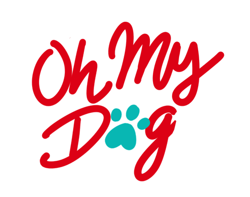oh my god omg Sticker