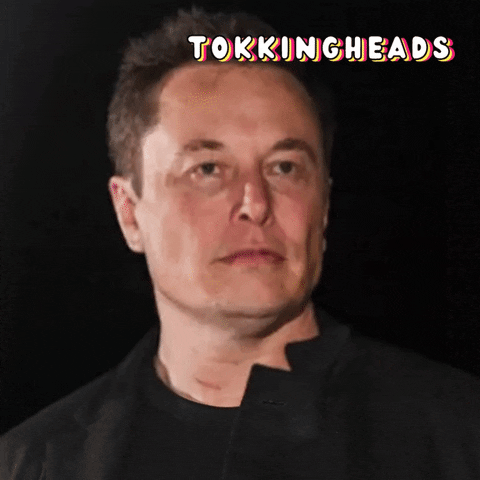 Elon Musk Reaction GIF by Tokkingheads