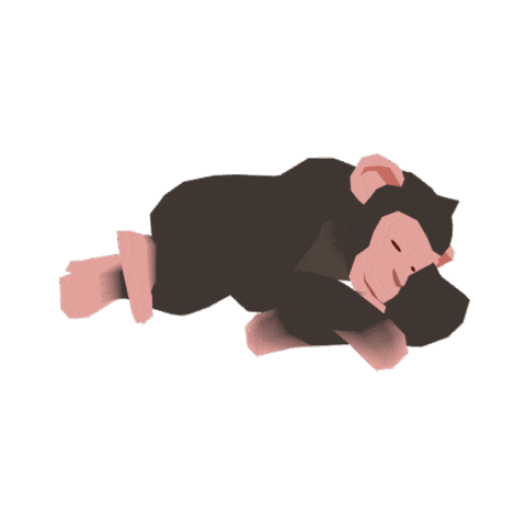 Chimpanzee Forester Sticker