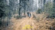 Film Music Documentary GIF by Indiecan Entertainment Inc.