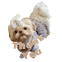 Happy Fashion Sticker by Pimp Yo Pets