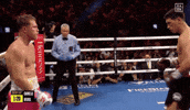 Saul Canelo GIF