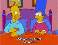 homer simpson episode 13 GIF