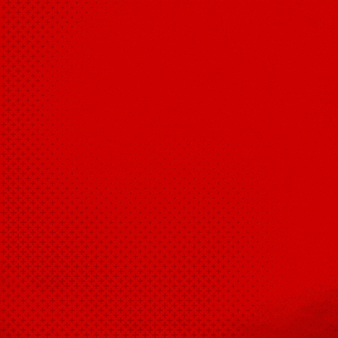 Bayer 04 Bundesliga GIF by Bayer 04 Leverkusen