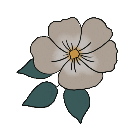 Meganbouchillon giphyupload flower spring plant Sticker