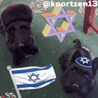 Jewish GIF