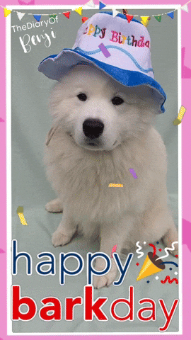 Sto Lat Birthday GIF