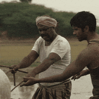 Bison GIF by Think Music