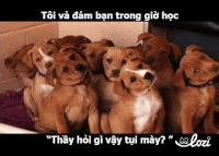 lozico duong-gif3 GIF