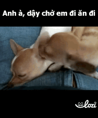 duong-gif32 GIF by Lozi Singapore Co.