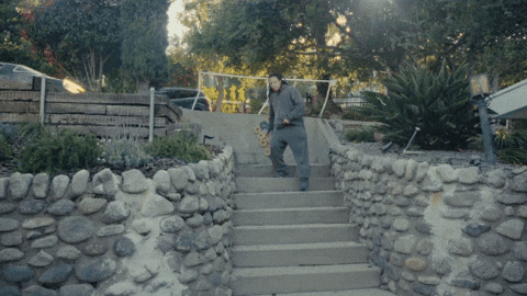 GIF by Domani
