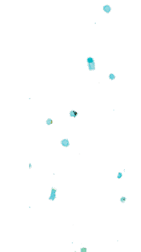 Confetti Sticker by Saatgutkonfetti
