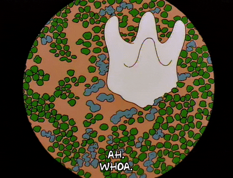 episode 1 slide GIF