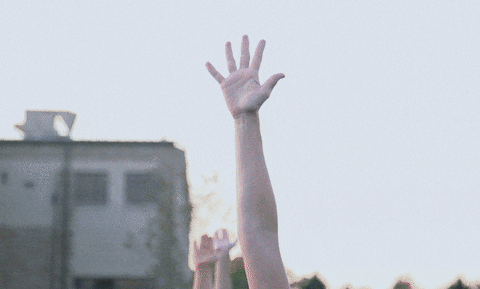 nickbergus giphyupload GIF