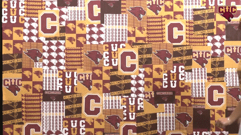 Wten GIF by CUCougars