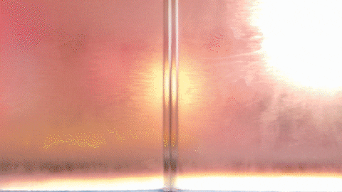 Travel Swag GIF by L.OL. Surprise!