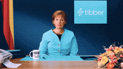 tibber_deutschland tibber switchonrebel GIF