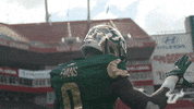 College Football GIF by USF Athletics