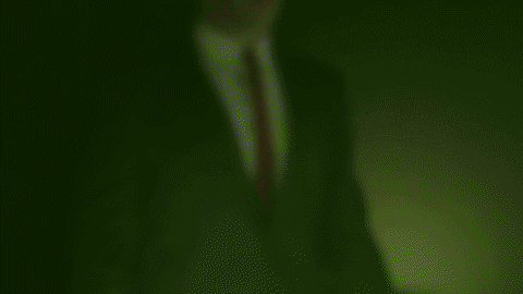 GIF by Pixel Dubai