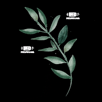 fiveforges leaf GIF