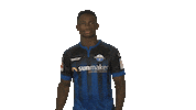 Show Me What Sticker by Bundesliga
