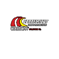 ctwindowfilm  Sticker