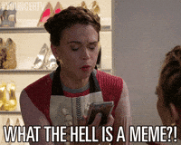 Tv Land What Is A Meme GIF by YoungerTV