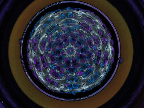 FreudSlip giphygifmaker cymatics GIF