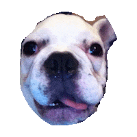 derp STICKER by imoji