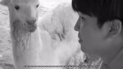 kyutae oppa GIF