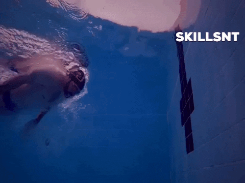 skillsnt giphygifmaker GIF