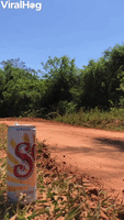 Beer Perfectly Placed on Rally Road