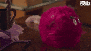 Hulu GIF by Davey And Jonesie's Locker