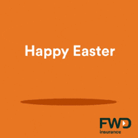 Bunny Rabbit GIF by FWD Insurance