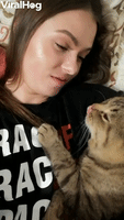 Kitty Cant Get Enough Kisses