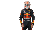 Ver Red Bull Sticker by Oracle Red Bull Racing