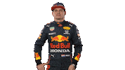 Ver Red Bull Sticker by Oracle Red Bull Racing