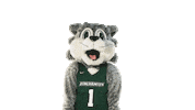 Sunybinghamton Sticker by Binghamton University