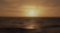 Fisherman Have Reported Sighting For Decades