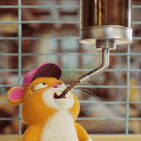 Coffee Time Hamster GIF by Grind