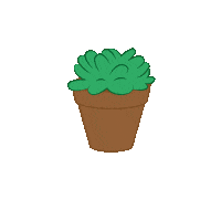 elixabetaduriz plant cactus cacti elixabetaduriz Sticker