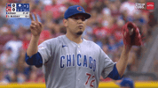 Make Sure Chicago Cubs GIF