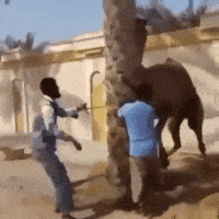 someone wife GIF