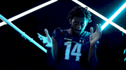 Old Dominion Sport GIF by ODU Football