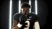 Old Dominion Sport GIF by ODU Football
