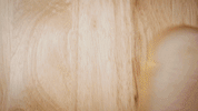 story sandwich GIF by Blueforest Studios