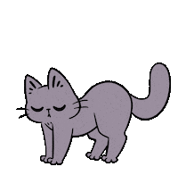 Cat Dancingcat Sticker