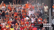 Celebrate Major League Baseball GIF by MLB