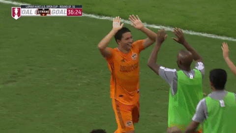Major League Soccer Football GIF by Houston Dynamo