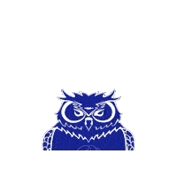 Buho Sticker by xirimoia